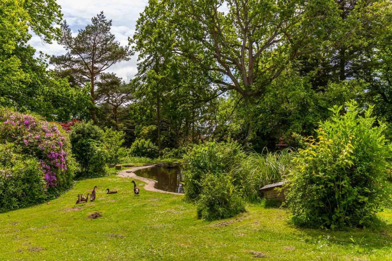 Host & Stay - The Eiders Aylmerton Exteriér fotografie